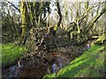 Ruin beside water channel at Llandyfan old forge