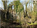 Ruin of Llandyfan new forge and woollen mill