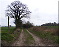 TM0879 : Footpath to Magpie Hill by Geographer