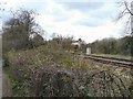 Railway line near Thistley Fields