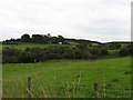 Grazing land on the edge of Tullynasoo Mountain