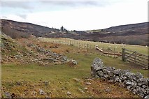 NH7293 : Old and new field boundaries near Achosnish by Alan Reid