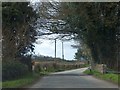 Small bridge near Ridby Court Farm