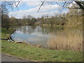 East lake at Kodak Lakes in Sherwood Enterprise Park