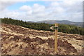NX5564 : Mountain End Path Marker by Billy McCrorie