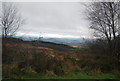 SX9175 : View from Little Haldon by N Chadwick
