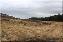 NX5463 : Moorland & Woodland at the Clints by Billy McCrorie