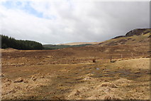 NX5463 : Moorland & Woodland at the Clints by Billy McCrorie