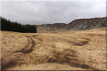 NX5463 : Track to the Clints of Dromore by Billy McCrorie