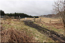 NX5463 : Gateway to the Clints of Dromore by Billy McCrorie