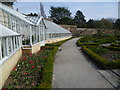 TQ2476 : The glasshouses and vinery within the walled garden at Fulham Palace by Marathon