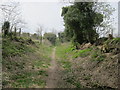 Access Path to Ridgeway Walk looking uphill