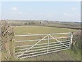 A gate beside the B3254 at Launcells Cross