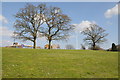 Trees and school at Hawkesley