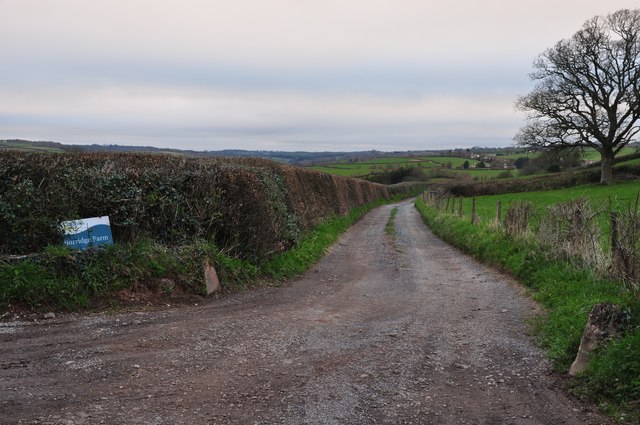 Mid Devon : Burridge Farm Track