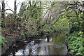 Roehampton:  Beverley Brook