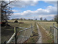 Path leading to Lower Park Lodge from Hazelbadge Road