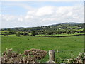 Farmland on the west side of Magheramayo Road