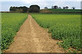 Footpath to Boughton End Lane