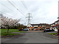 ST2984 : Spring blossom, power lines and pylons, Manor Park, Newport by Jaggery
