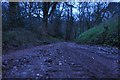 Mid Devon : Muddy Track