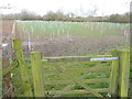 Fields Next to Noleham Brook