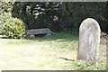 SU2499 : Graves in St George's by Bill Nicholls