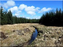 NX2376 : Pullower Burn by Mary and Angus Hogg