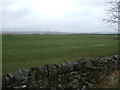 Grazing, Grindon Hill