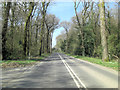 A27 penetrates Cowsfield Wood, Great Plantation