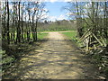 Footpath - Bingley Road