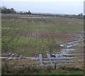 Waterlogged farmland, Broadwath