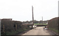 Donkeys on road by Fritham Grange