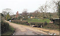 Approaching Royal Oak at Fritham