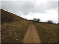 SO9924 : Prestbury Hill Nature Reserve by Ian S