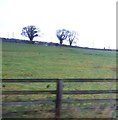 Farmland, East Mill Hills