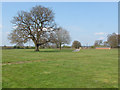 Field, Ascot Race Course