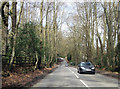 Danes Road near Dunwood Hill