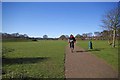 The Path to Drayton Rd