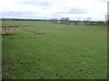 Farmland, Butcher Hill