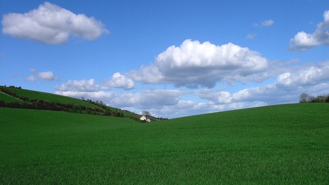 Fields near Belgooly (Béal Guala)