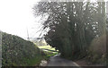 SU3727 : Furzedown road north of Fishponds Farm by John Firth