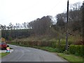 Footpath in Brightley