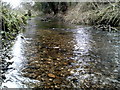 River Chess near to Hollow Way Lane, Chesham