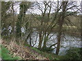 The River Tyne near Ovingham