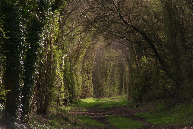 Railway path to Withcall