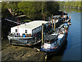 Houseboats beside Kew Bridge