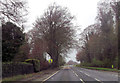 A342 Andover road at Privet Lane