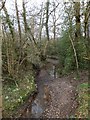 Stream beside Youldon Bridge