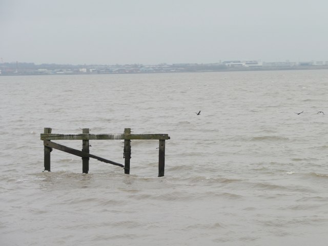 Dolphin in the Mersey estuary